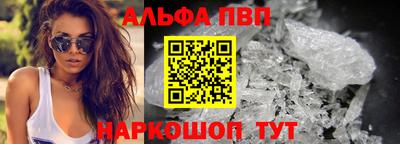 спайс Кингисепп
